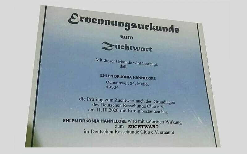 Fälschung Zuchtwarturkunde Ehlen